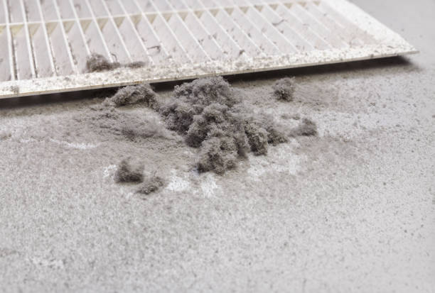 Best Commercial Air Duct Cleaning  in Lynchburg, MS