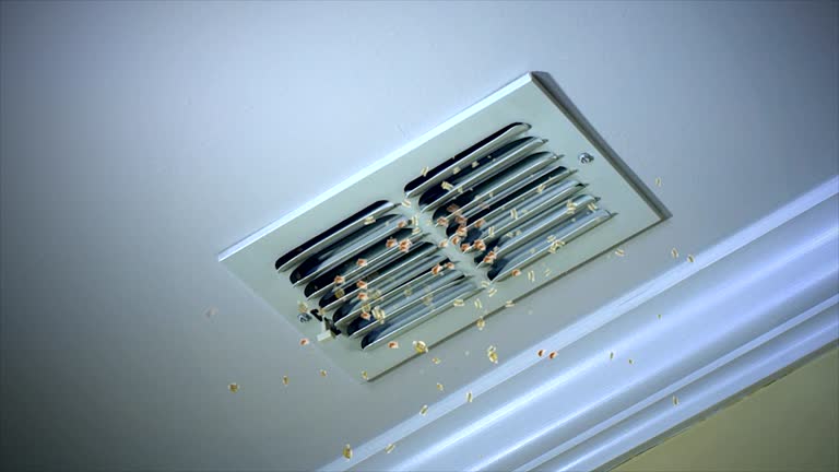 Best Air Duct Cleaning Near Me  in Lynchburg, MS